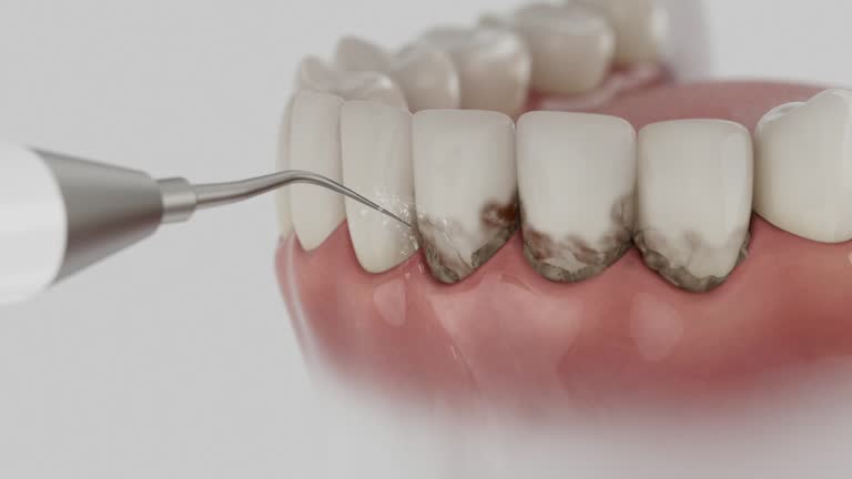 Reliable Dental contractor in Poplarville, MS by Dentist Open Now